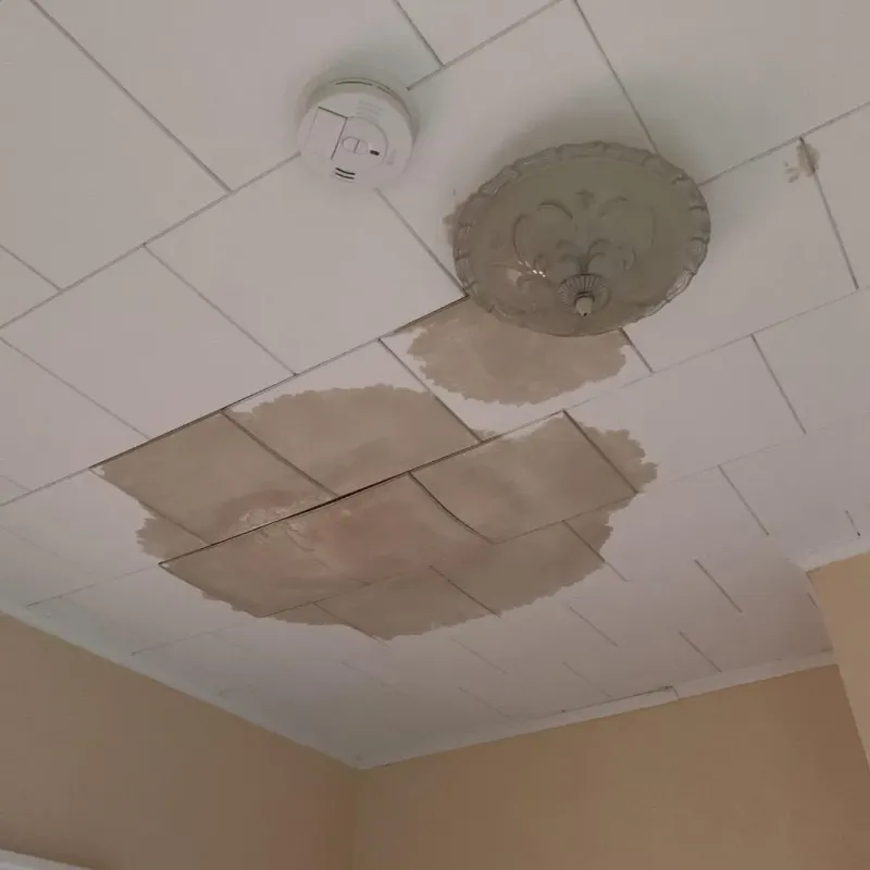 Ceiling Water Damage Repair in Osawatomie, KS