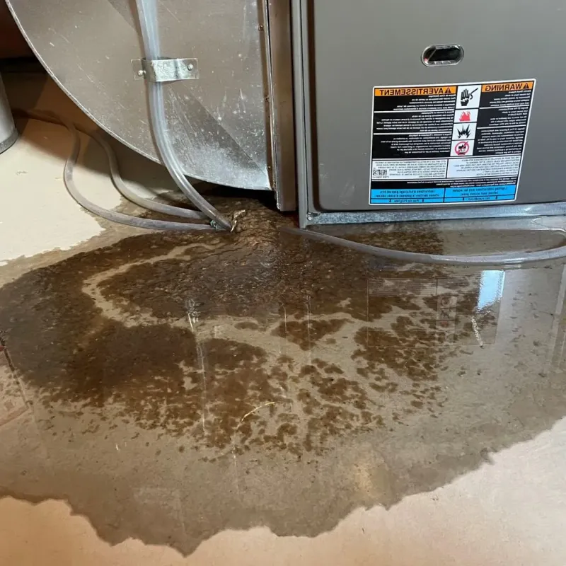 Pipe Burst and Leak Restoration in Osawatomie, KS
